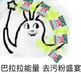 表情与斗图62去污粉表情包