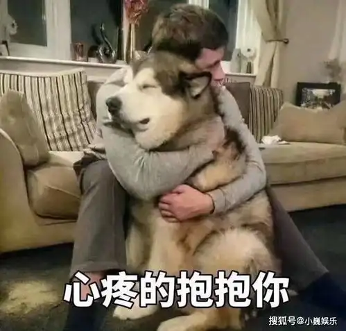白富美入圈拼命拍戏致流产,嫁富商老公却难当阔太包都不能买曾是环球小姐,