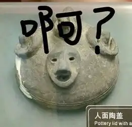 做斗图表情包的软件文物