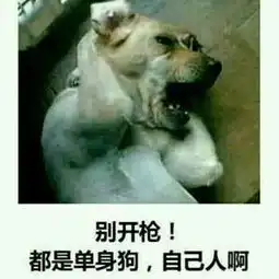 帮忙想一个情侣网名