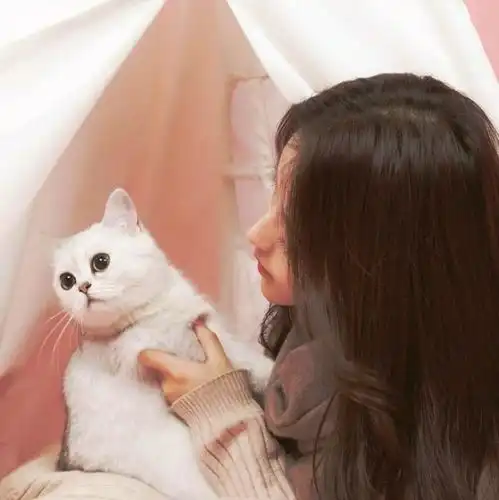 句句戳心的伤感句子,看完默默流泪