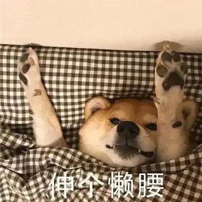 2021天冷不想起床的表情包过段时间就要遭受到被窝的绑架了