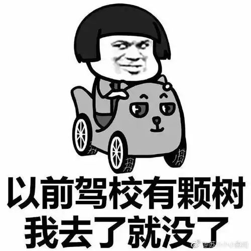 技能篇寒假怎么少得了学车呢