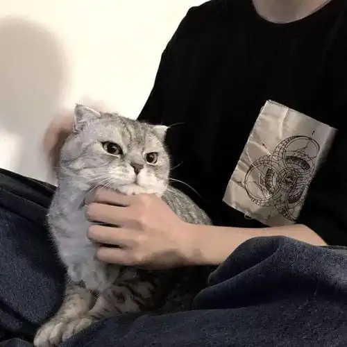 你们要的男生头像来咯