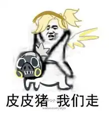 求带飞表情包皮皮