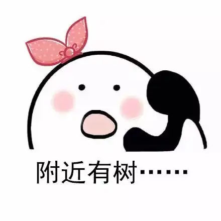 越长大越孤单,好久没有朋友呼我了