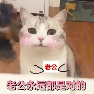 好奇害死猫表情包gif黄