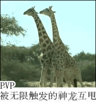 一点资讯阴阳师动态表情包又更新啦被无限触发的神龙互甩www...