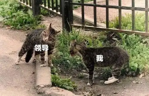 2018已快过去了这一年你都干了啥