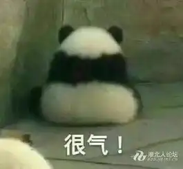 暴漫熊猫人表情包生日快