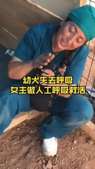 暖心幼犬失去呼吸女子坚持不放弃,做人工呼吸不停按摩成功救活