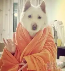 2014年1月24日每日一乐轻松一刻