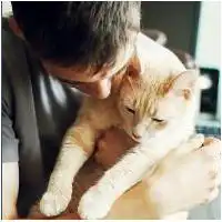 男生抱猫咪头像图片宠物