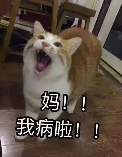 男大学生,你上一次往家里打电话是什么时候