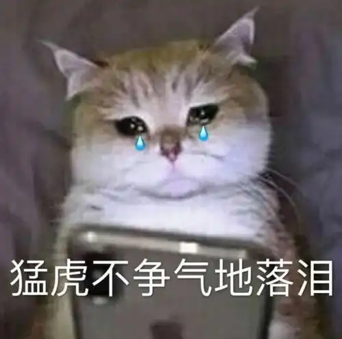 表情包猛虎不争气地落泪