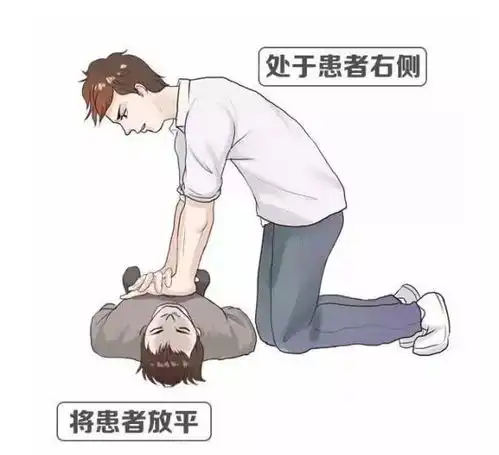 生命,全为生命
