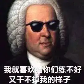 想爆粗口表情包音乐