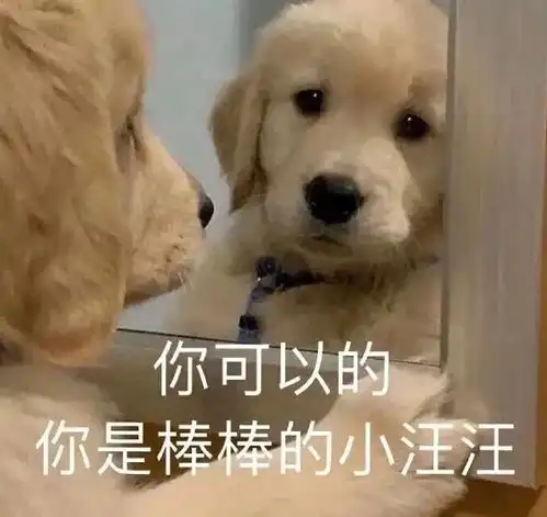 养了一只狗,救了我爸一命