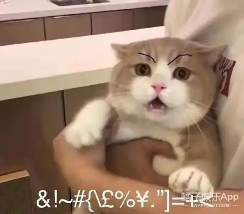 他转行搞笑艺人也会很成功吧