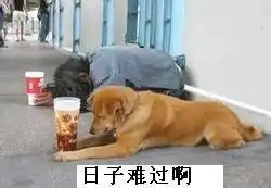 搞笑表情真人恶搞版