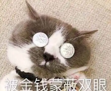 猫咪偷偷抹把泪表情包笼