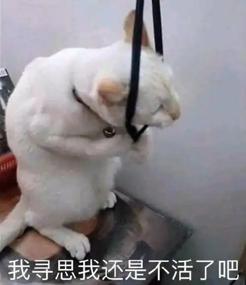 表情包可爱丨又开始了是吗