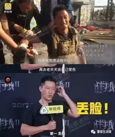 网通社汽车成都劲凯雷诺