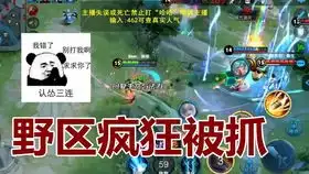 王者高星局如何玩射手不会没关系看完你就会了