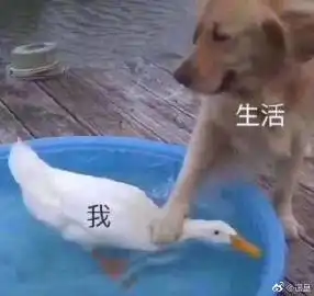 遥皇的微博微博