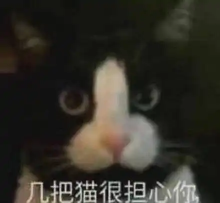 崩坏三喵喵喵表情包中秋