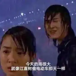 吐槽天天下雨的表情包让苍天知道我不认输