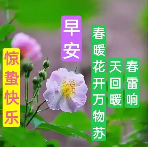 2021年3月5日正月廿二惊蛰早上好问候祝福动态表情图片