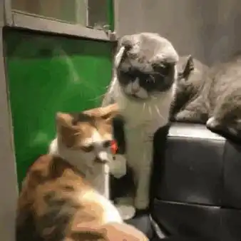 室友又双大半夜开始补作业了