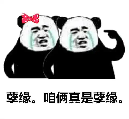 孙一宁王思聪聊天记录表情包,我命油我不油天