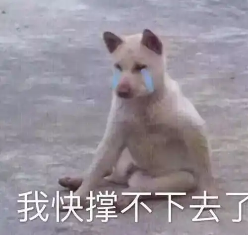 哭地铁11号线故障,导致大量乘客短时积压嘉定人,今天你迟到了吗