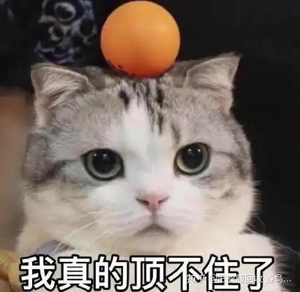 在家办公香不香