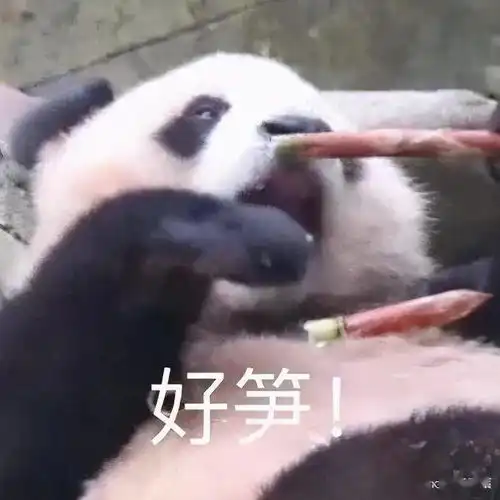 夺笋表情包佩奇