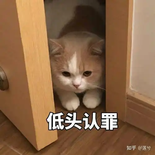 双子男生气不理你怎么办和双子男冷战超过三天