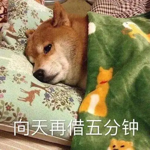 晒太阳啦三明本周气温将回升至22但下波冷空气......