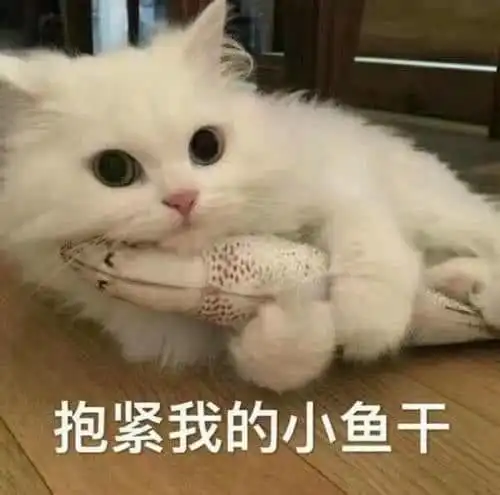 真人抱抱表情包图片抱抱