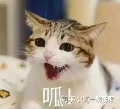 2021年有哪些鼠标值得推荐2021年值得购买的高性价比鼠标选购指南1月更新