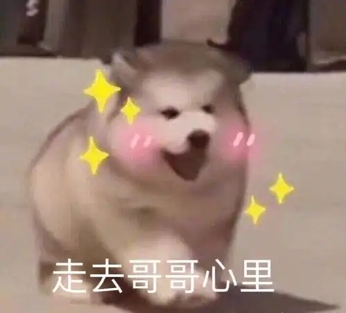 鲸咖丨肖战王一博,你们组cp的样子像极了爱情