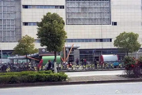 绿地缤纷城再开一家coco奶茶811路公交终点站调整宝安公路公交专用道亮灯摩拜单车运维狗狗找主人