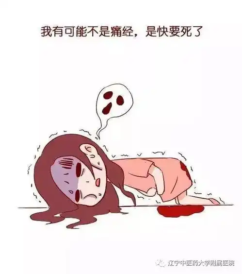 冬日里,献给她这份最温暖的礼物
