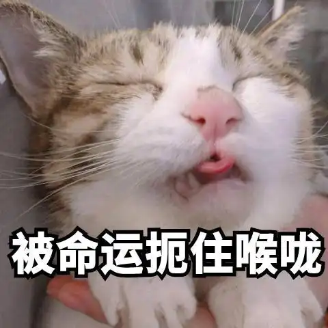 公认买猫一时爽,养猫火葬场的4种猫,劝你想清楚再入手