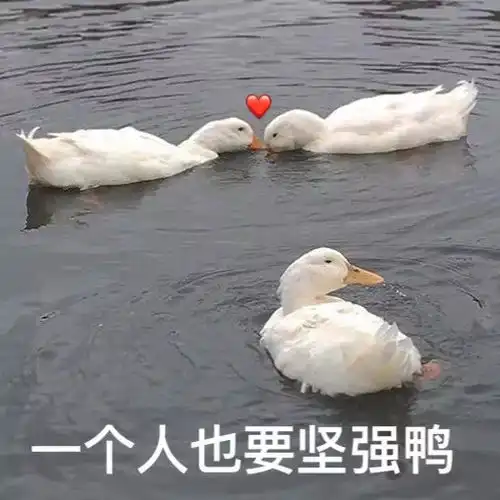 笑哭这究竟是什么奇异物种看见什么吃什么