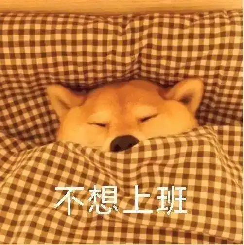 宁海2021年第一场雪来啦随之而来的,是两道预警