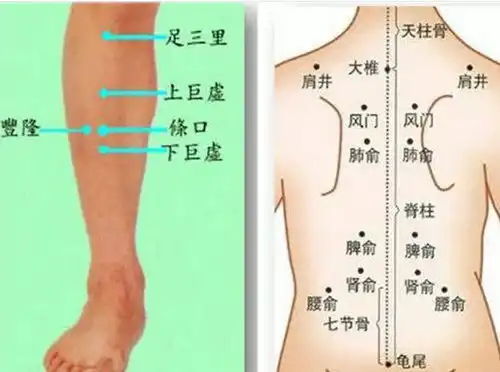 处暑养生养阴护阳