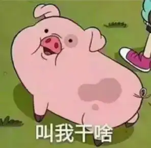湖洋奶奶教孙女讲普通话,半土半洋