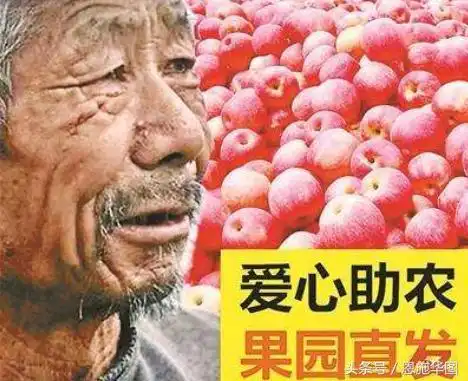 2018年湖北公务员面试热点网售滞销水果悲情牌套路让人寒心